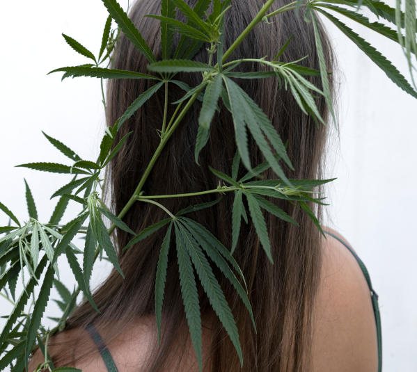 RED MOON Period Care - What is CBD?